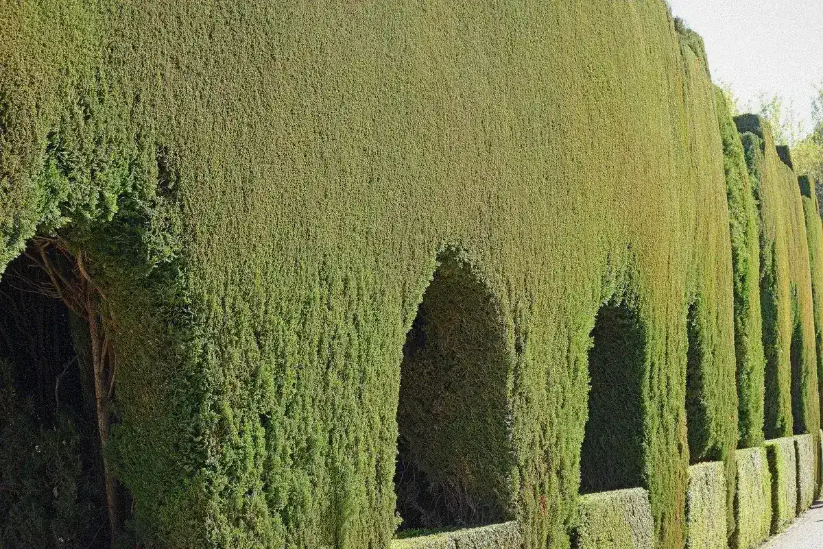 Arched galleries and courtyard greenery at the Alhambra in Granada, Spain